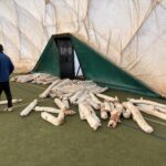 Image_20260314_204132_335