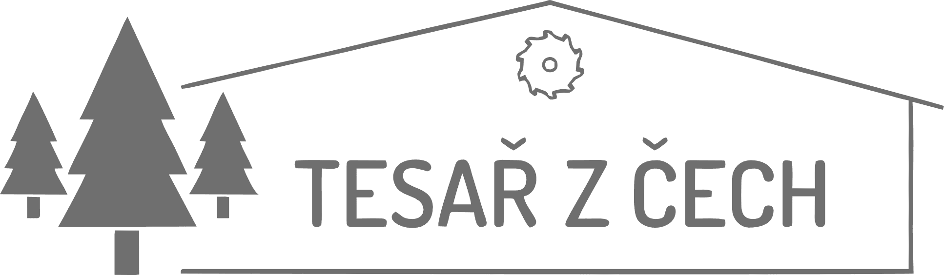 Tesař z Čech